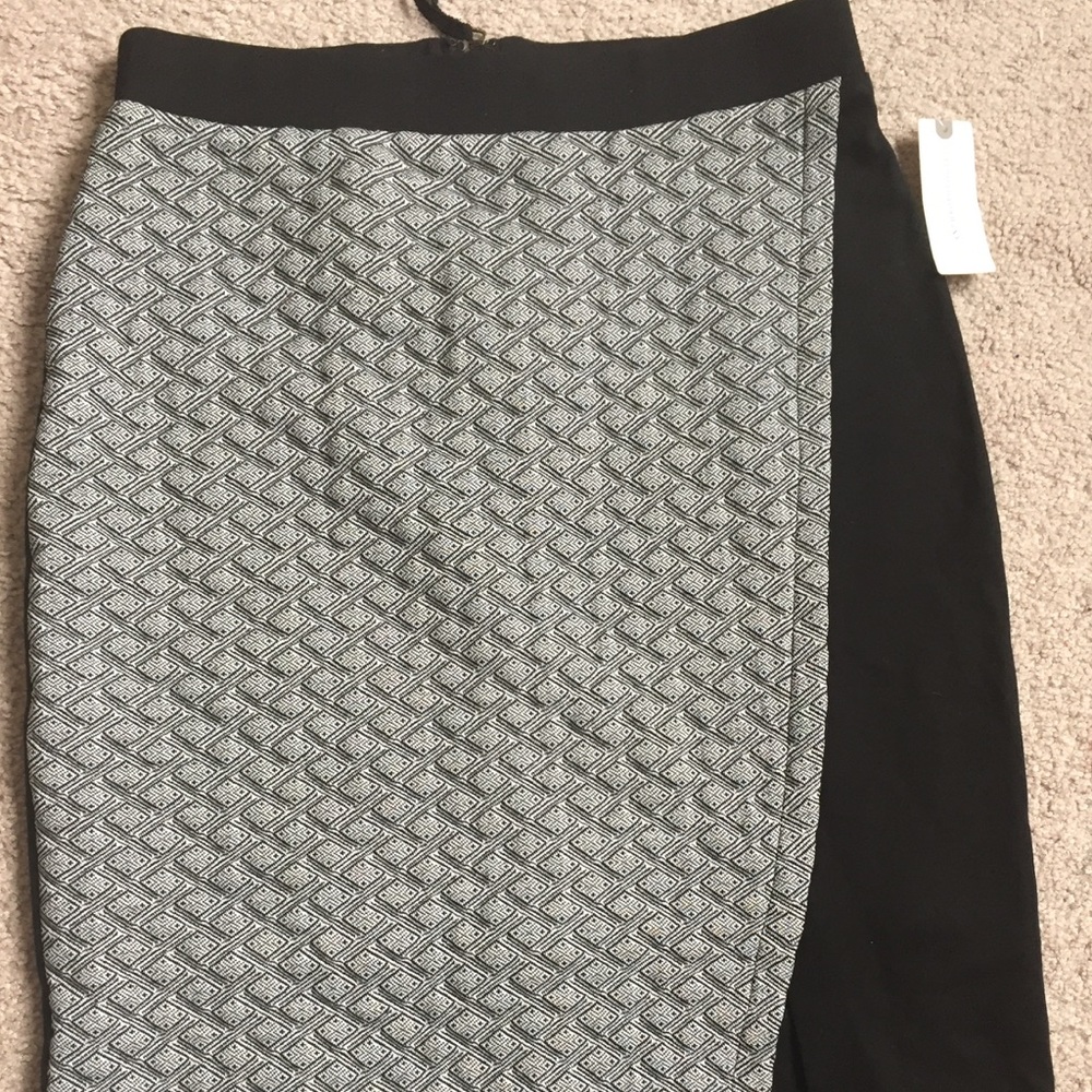 Anthropologie skirt NWT